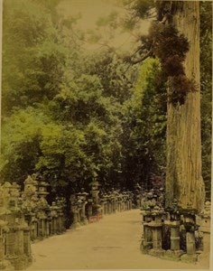 Image description is not available for DU2017.2.10